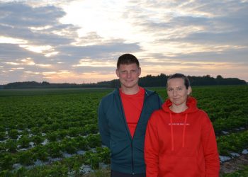 Vasara kvepiantis braškių aromatas – iš Suosto uogyno