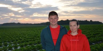 Vasara kvepiantis braškių aromatas – iš Suosto uogyno