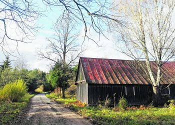 Ką byloja senas kapas vienišoje sodyboje