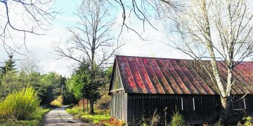 Ką byloja senas kapas vienišoje sodyboje