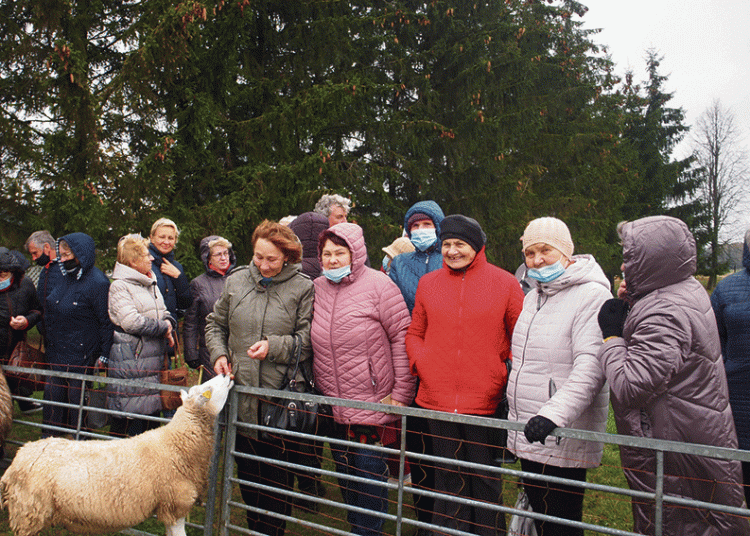 Vyko ten, kur „po kalnus ir po klonius vaikšto milinė ir žiponas“