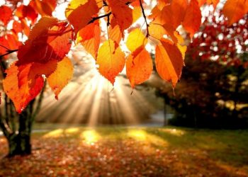 Bendras darbas vienija kartas