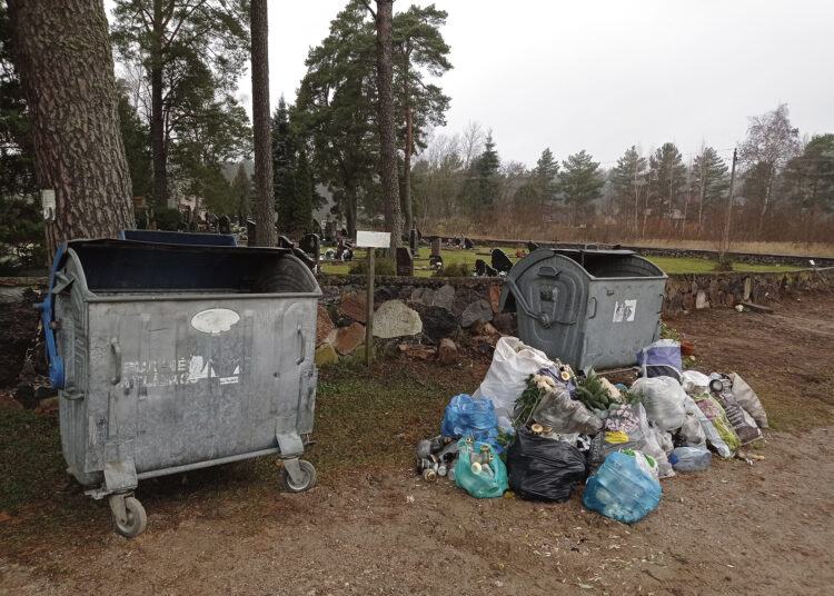 Nauja koronė ar šiaip nušvitimas?