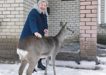 Medicinos punktą aplankė neįprasta pacientė