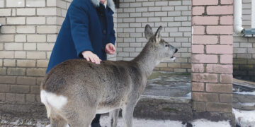 Medicinos punktą aplankė neįprasta pacientė