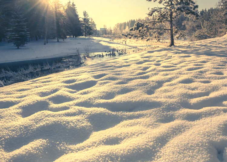 Viskas, ko reikia, yra čia