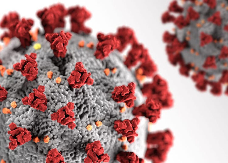 Koronavirusas plinta ir tarp moksleivių