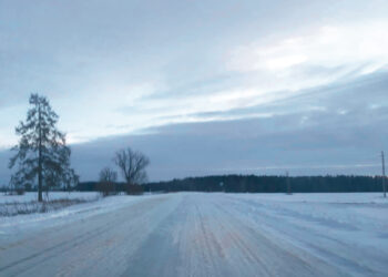 Ar snygis kelininkus sutiko vėl nepasiruošusius?