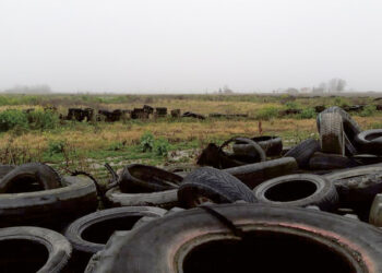 Švarins Pačeriaukštę