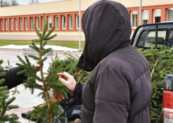 Eglių šakų dovanojimo akcijai miesto centre vietos neatsirado
