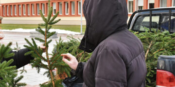 Eglių šakų dovanojimo akcijai miesto centre vietos neatsirado