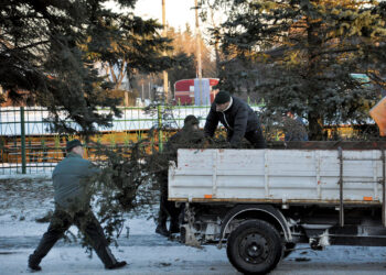 Vertė medžius ant kelių ir elektros laidų