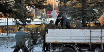 Vertė medžius ant kelių ir elektros laidų