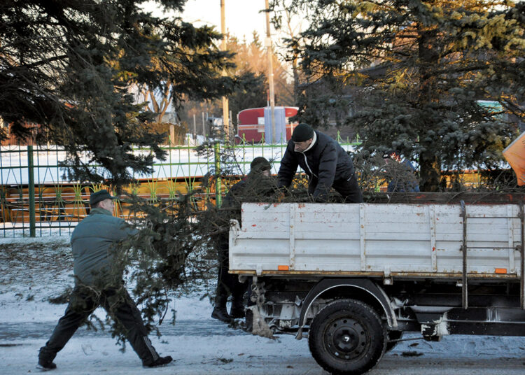 Vertė medžius ant kelių ir elektros laidų