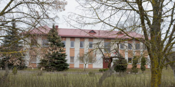 Su nudvėsusiais šernais – į miesto centrą?