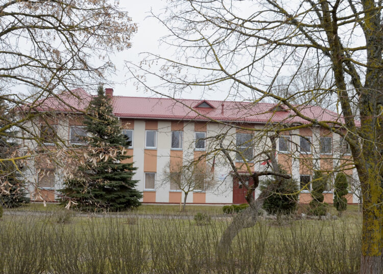 Su nudvėsusiais šernais – į miesto centrą?