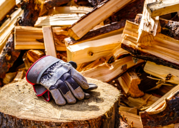 Laikas – brangiausias turtas. Kaip jo sutaupyti kuo daugiau, užsiimant aplinkos tvarkymo darbais?