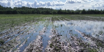 Kaimo žmonės šaukiasi melioratorių pagalbos