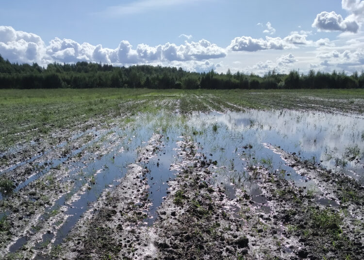 Kaimo žmonės šaukiasi melioratorių pagalbos