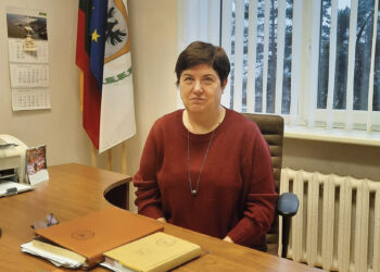 Dėmesys vicemerės buto remontui