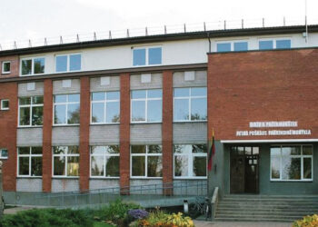 Neliko direktoriaus – nebėra ir sausų malkų?