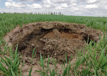 Smegduobės vėrėsi ir dėl žmogaus veiklos