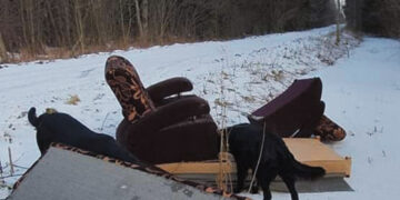 Dovanotus baldus išmetė miške