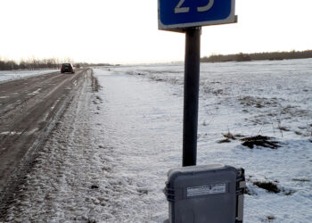 Apie statistiką ir realybę