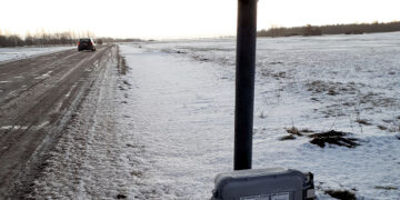 Apie statistiką ir realybę