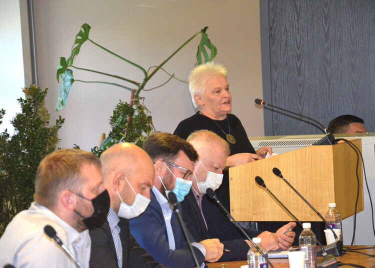 Apie viešųjų erdvių projektus ir viešai formuojamą nuomonę