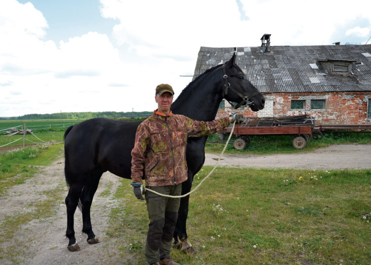 Žemę dirbs arklių kinkiniais