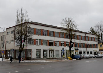 Verslininkus suviliojo būsimi fontanai