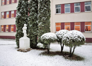 COVID-19 sparčiai plinta mokyklose