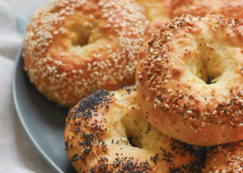 Kelionė į Biržų štetlą (II)