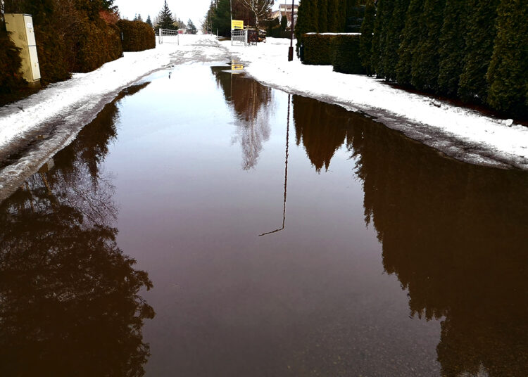 Biržiečius pasivijo rusniškių problemos