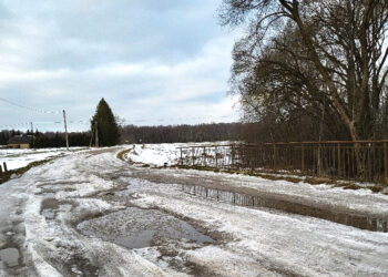 Jaučiasi mylimi mažiau nei rinkuškiečiai