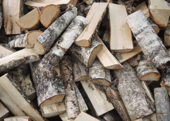 Vieni kitus puola malkomis ir šakutėmis