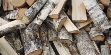 Vieni kitus puola malkomis ir šakutėmis