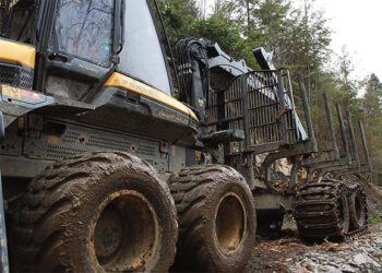 Miškovežiai niokoja atšilusius kelius