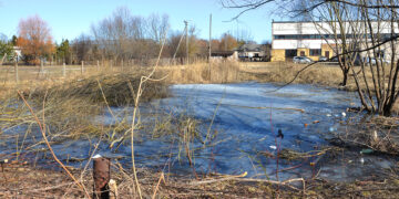 Ant gilaus tvenkinio ledo vaikšto vaikai