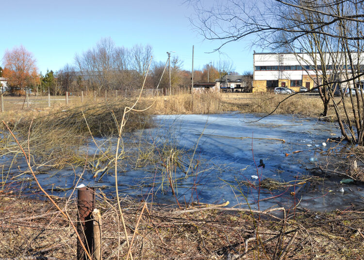 Ant gilaus tvenkinio ledo vaikšto vaikai