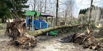 Uraganinio vėjo siautėjimas