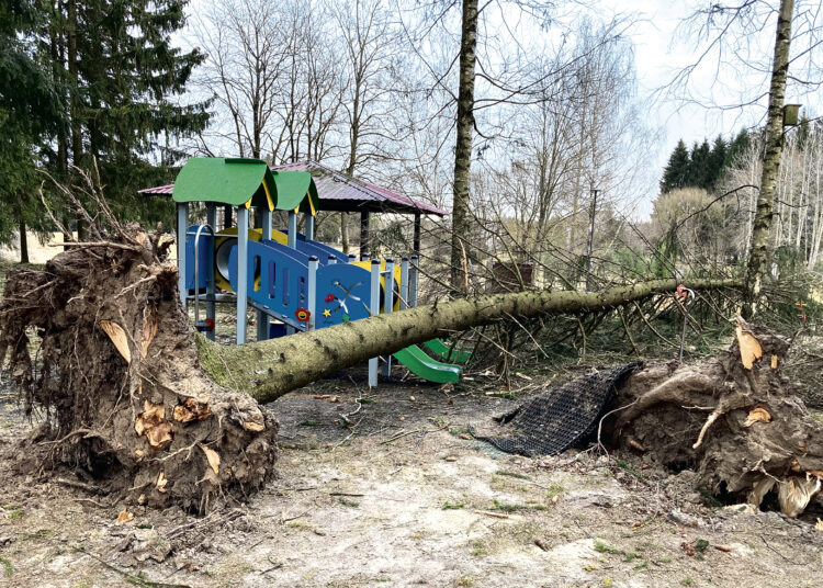 Uraganinio vėjo siautėjimas