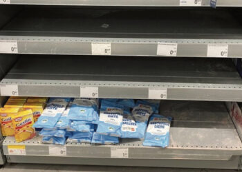 Koneveikė lietuviškuosius marodierius