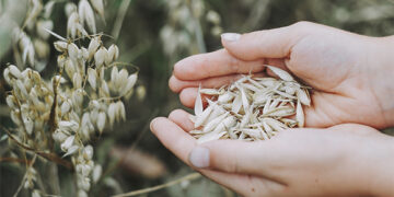 Ar brangstant trąšoms padaugės ekologinių ūkių?
