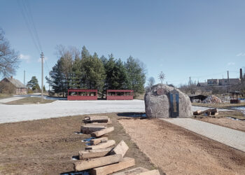 Perkeltas Papilio turgelis