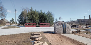 Perkeltas Papilio turgelis