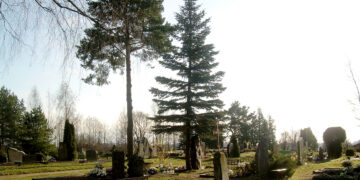 Koks bus Rinkuškių kapinių statusas?