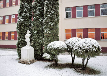 Smurtautojo poelgį pavadino nelaimingu atsitikimu