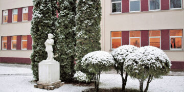 Smurtautojo poelgį pavadino nelaimingu atsitikimu